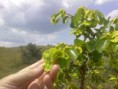 /album/krjepost-na-gorje-krym-/foto-4989-jpg1/